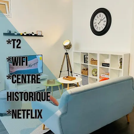 Apartament Du Temple A Vienne (Isere)